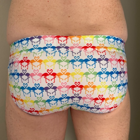 2xist Pride Rainbow Flamingos Swim Brief - Small - Picture 5 of 5